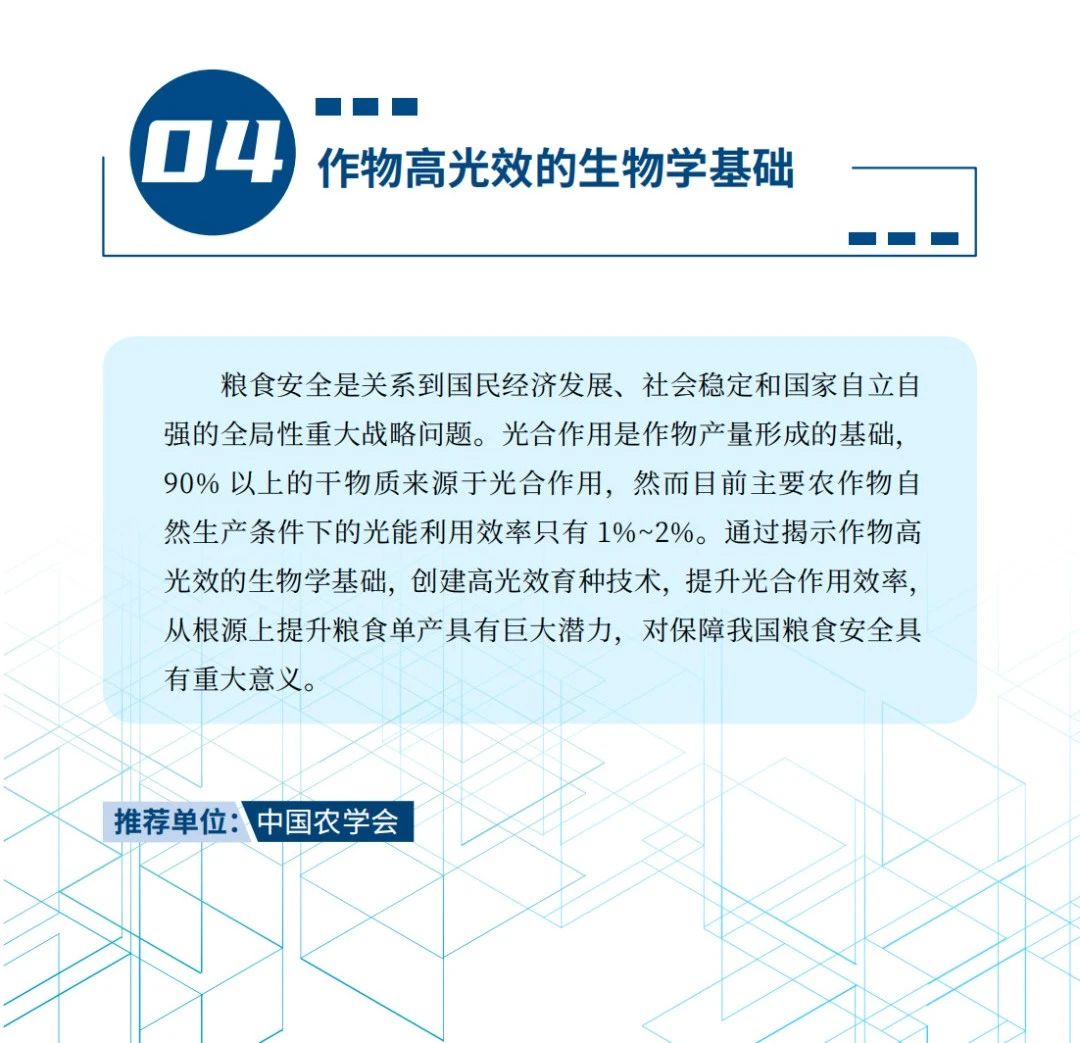 1720004505337.jpg 4.jpg