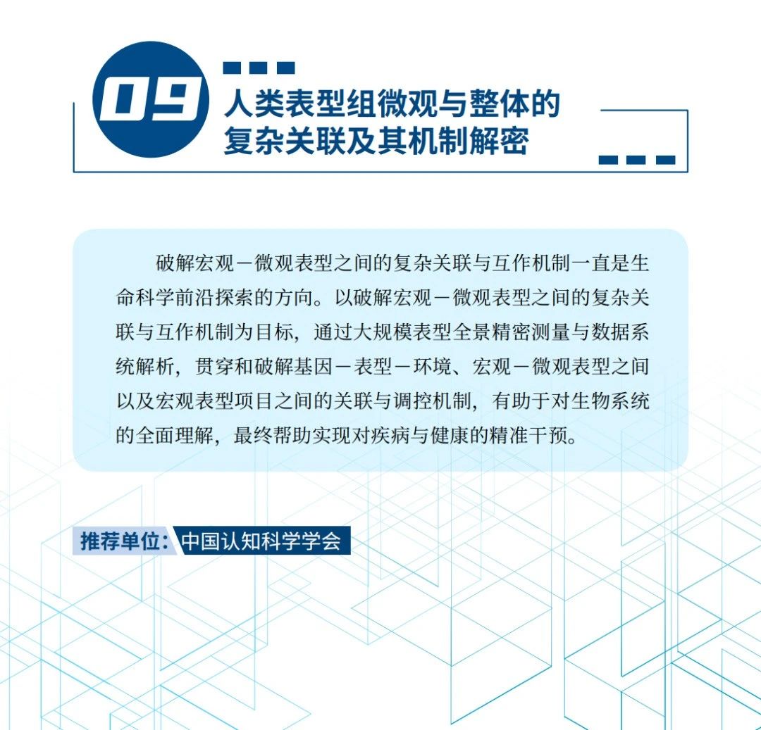 1720004557586.jpg 9.jpg